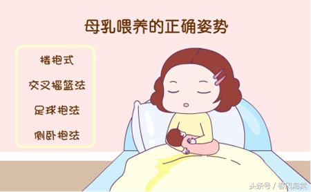 想要母乳够吃宝妈应该每天吃什么,想要母乳多吃什么好