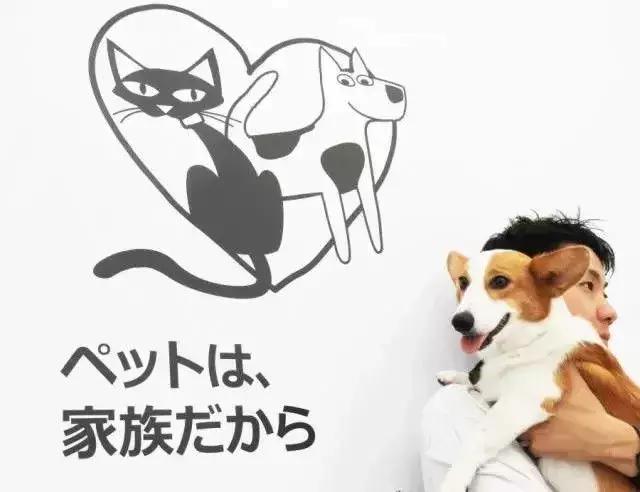 日本宜家代购,日本代购的家具品牌