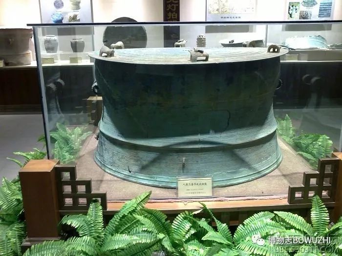 广西南宁人民公园自然博物馆,南宁博物馆和广西博物馆哪个好