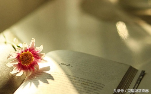 妈妈整理英语单词,幼儿英语单词爸爸妈妈