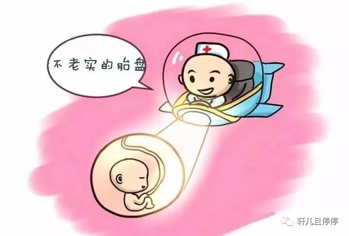 孕24周大排畸报告单,22周大排畸能看出来胎盘低置吗