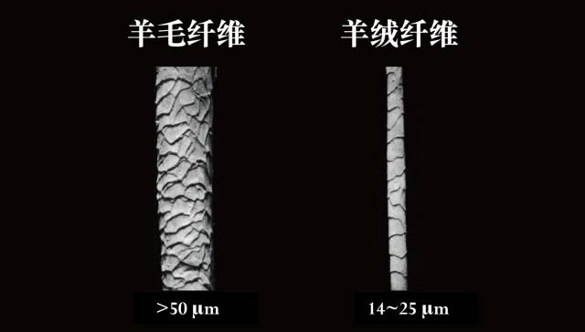 迪奥羊绒围巾真假辨别,burberry围巾真假鉴别