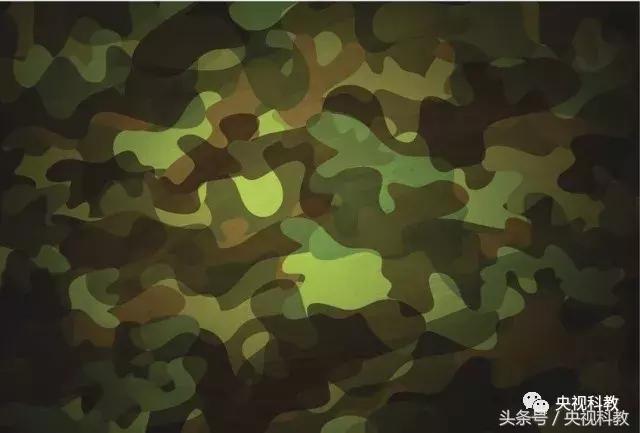 中国青少年科学总动员探秘宇宙,中国青少年总动员第十一场科学秀