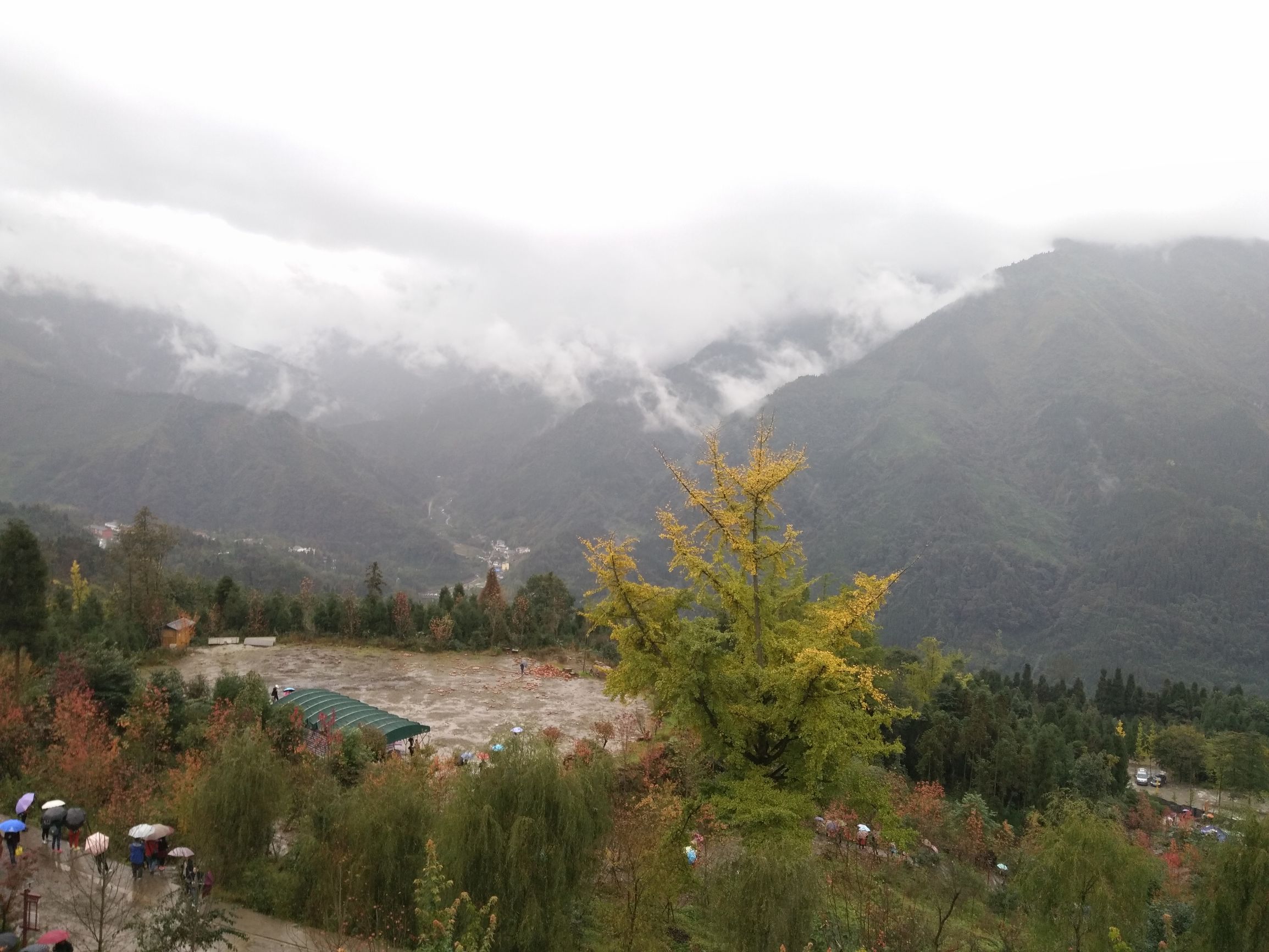 德阳红枫岭旅游,德阳市什邡市红枫岭景区