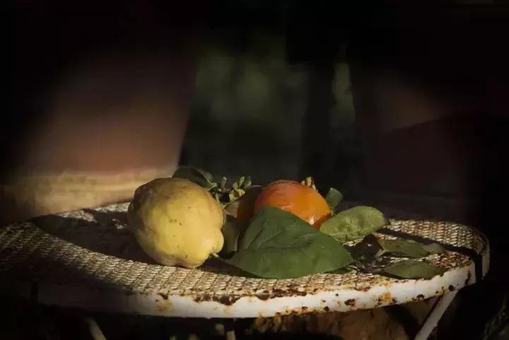 渡边淳一的双面人,渡边淳一最值得看的电影