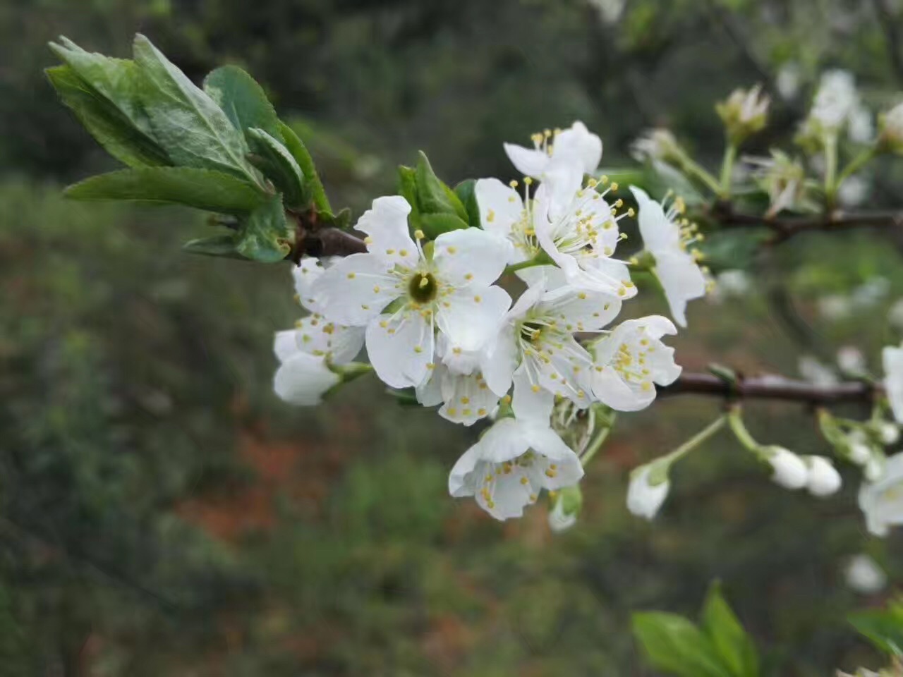 众筹突破100万,众筹突破百万元