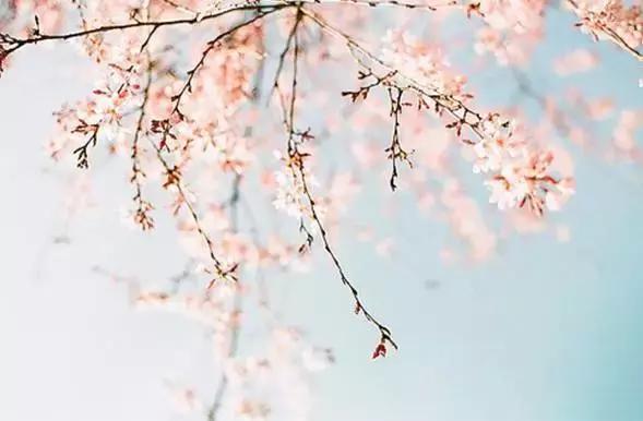 作文领航600字,作文领航