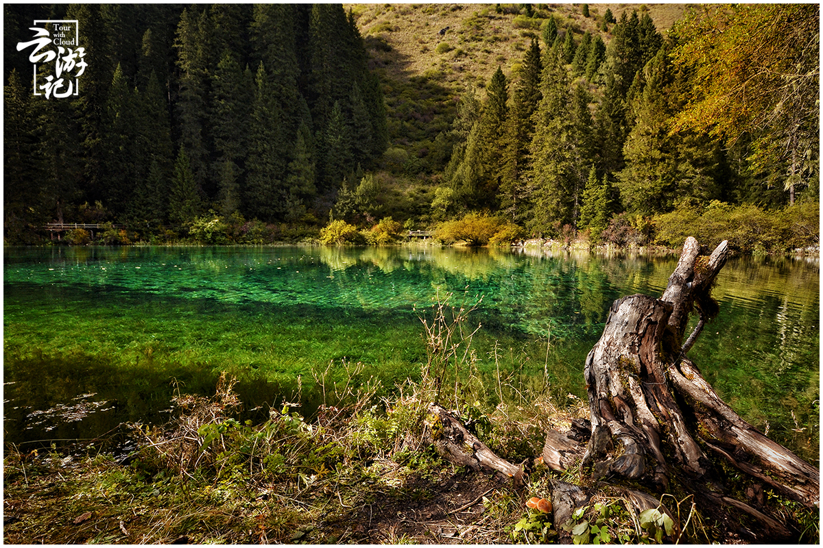 川西小环线4天自驾最佳红叶路线,川西红叶