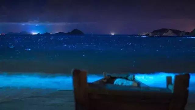 花鸟岛海岛游,花鸟岛海岛旅游