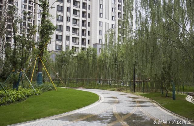 十张图让你看清,十张让你感动的图片