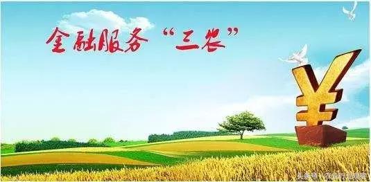 专访|农发贷CEO杨世华:供应链金融或能破解农村金融征信缺失难题