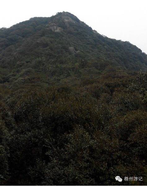 肇庆七星岩洞穴探险,广东肇庆七星岩自驾游攻略