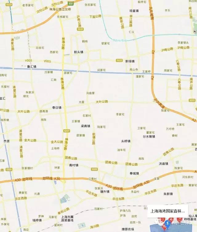 看樱花不用远赴日本,看樱花不用去武汉关庙也可以看