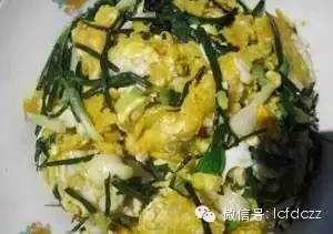 春季野菜采摘图解高清图片,春季野菜多种做法