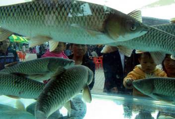 对话王立群完整版,对话王立群