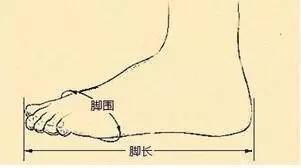 崔玉涛谈婴儿尖叫期11个月,崔玉涛教宝宝护理