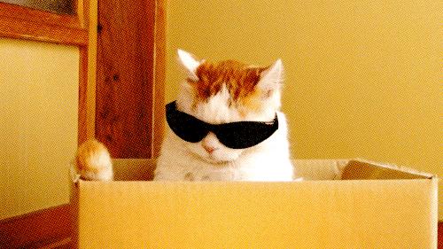 整容护肤用什么工具,整容要用哪些化妆品比较好