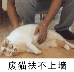 万圣节狂欢一起来捣蛋,万圣节魔法之夜一起鬼混吧