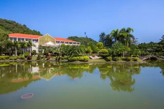 清远英德溶洞温泉度假村,英德奇洞温泉旅游攻略