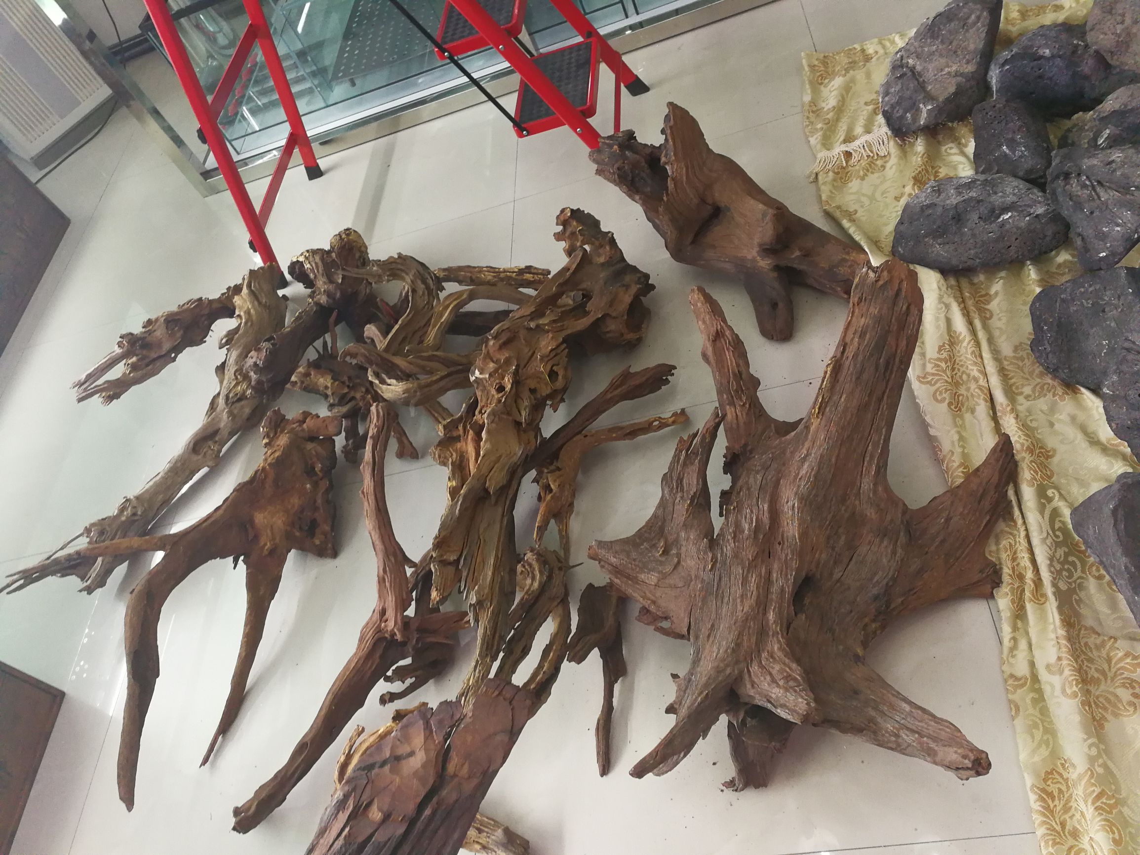 大墙鱼缸,40公分的缸养40的龙鱼