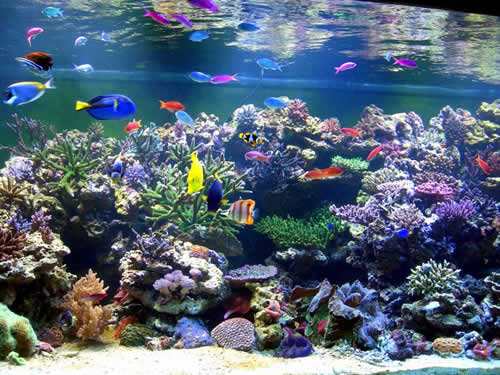 中国西沙最美景点,三沙市自由行旅游攻略