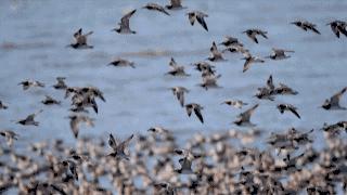 康平生态风景区,沈阳市康平县简介和历史介绍