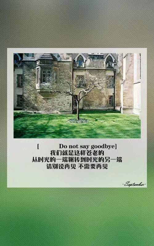 亲爱的你不在我该怎么办,亲爱的你走了该怎么说