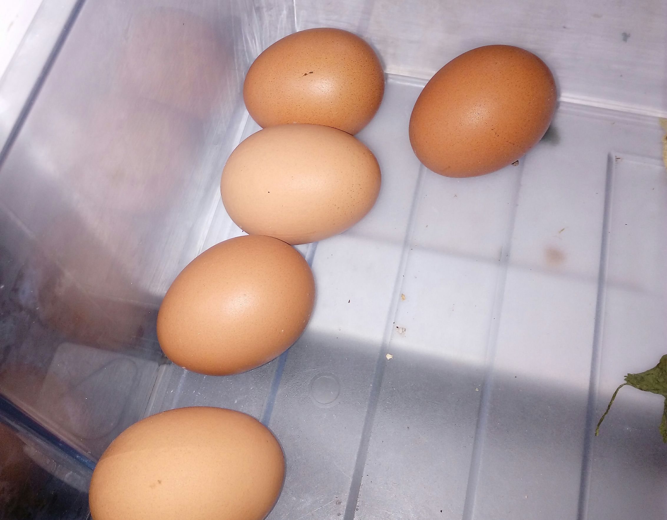 在什么样的情况下才能快速怀孕,什么情况影响生育