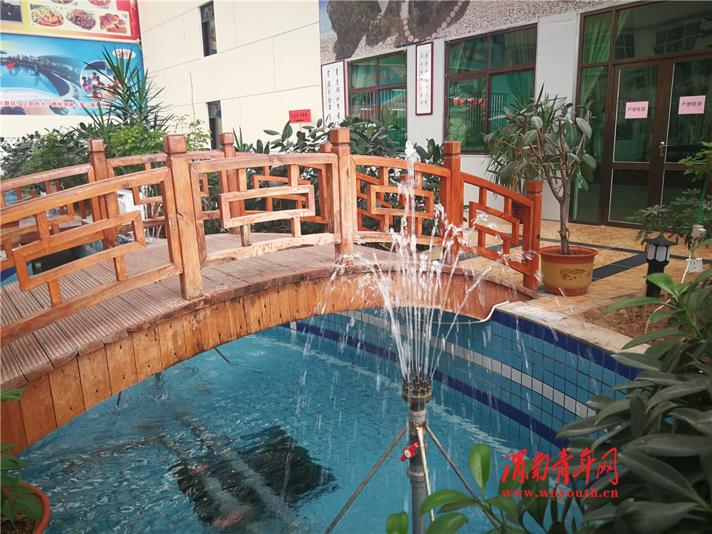 户县高喜娟秦腔,高喜娟的秦腔专场