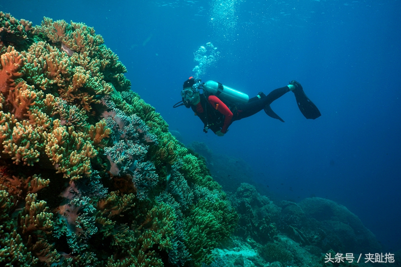 走进马来西亚自由行攻略,马来西亚自由行详细攻略