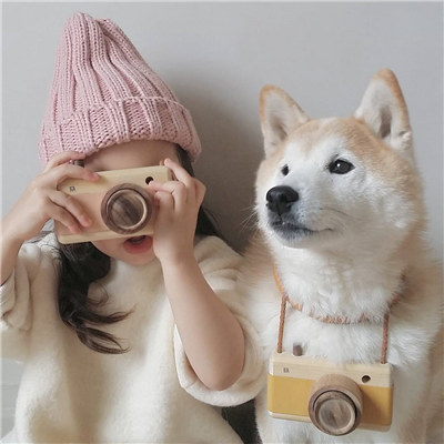 柴犬好养吗柴犬优缺点分析,柴犬优缺点及性格介绍大全