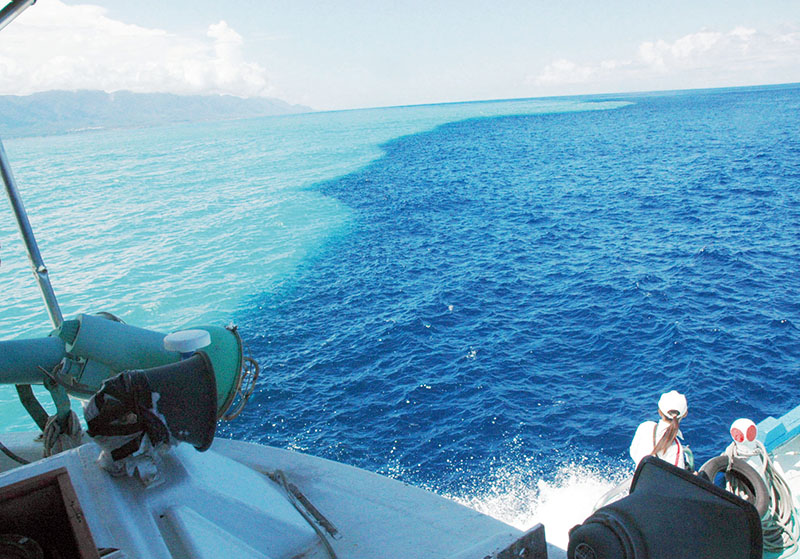 东海及台湾海峡：赤潮次数增加，优质鱼类减少