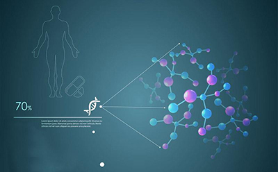 小分子肽激活人体细胞,小分子活性肽的吸收