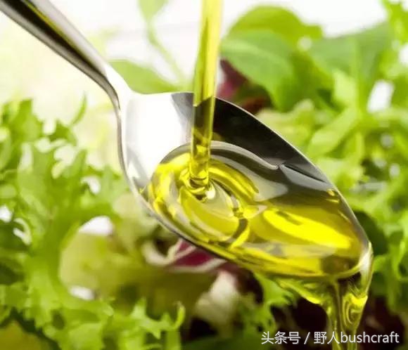 给孩子补充dha还需要补亚麻酸吗,想给孩子补充维生素和微量元素