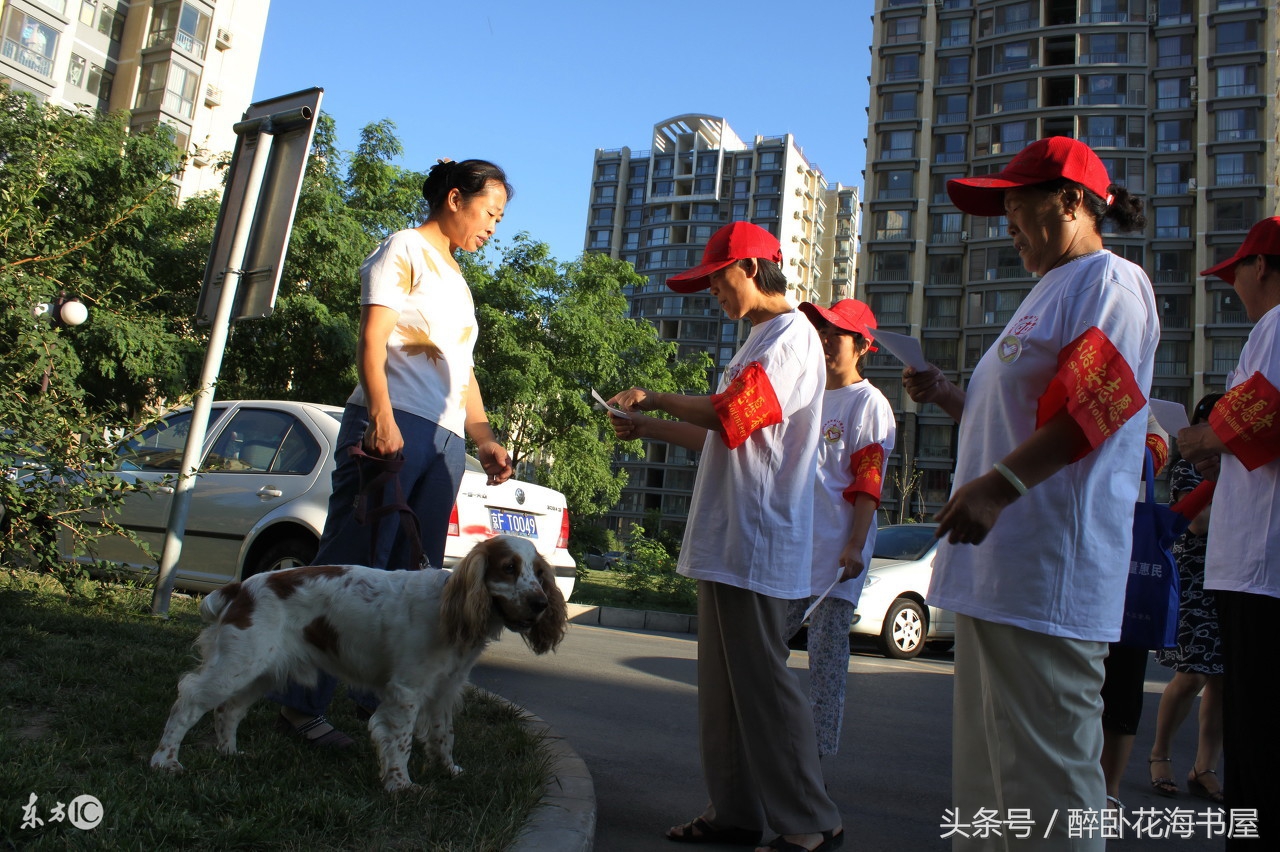 狗狗是人类的好朋友我们要善待他,狗不是人类的朋友只是主人的朋友
