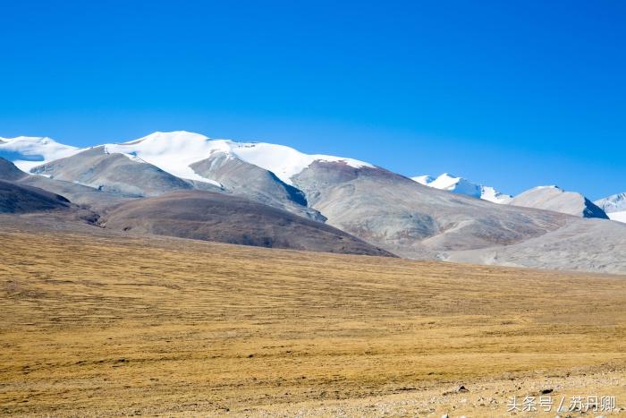 老司机眼中的西藏精髓,老司机西藏旅游