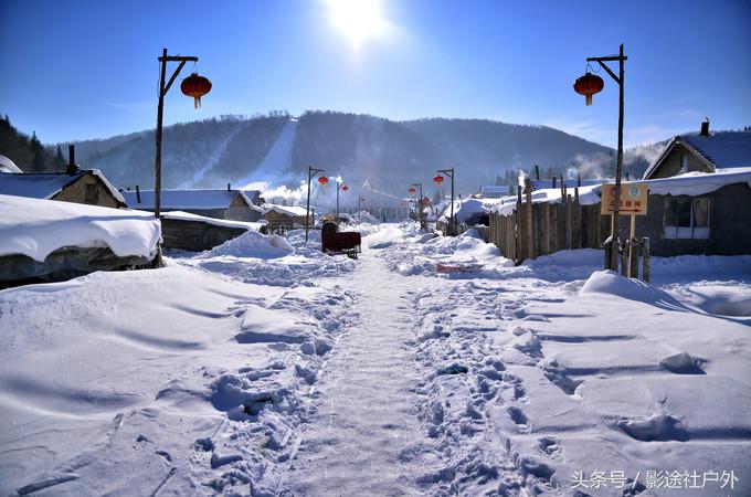 哈尔滨雾凇岛一日游,哈尔滨雪乡雾凇岛攻略