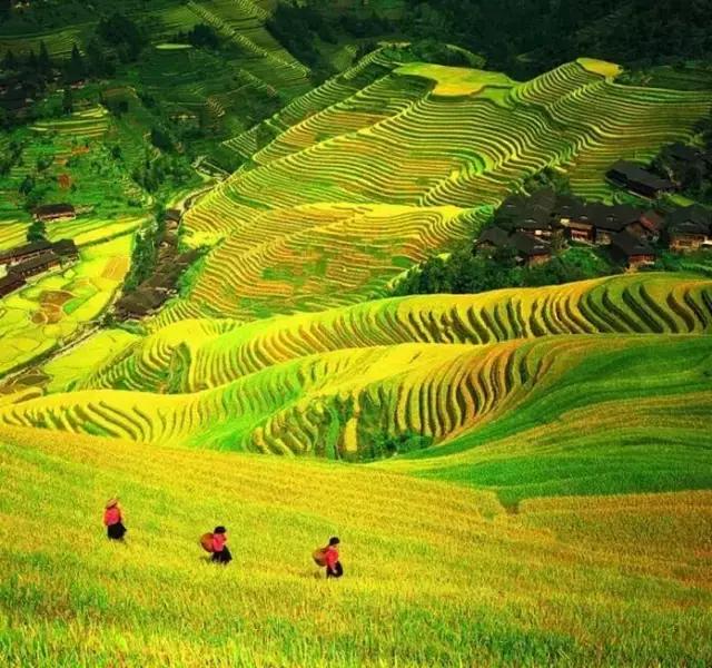 11月国内最值得去的景点,推荐七月国内最佳旅行目的地