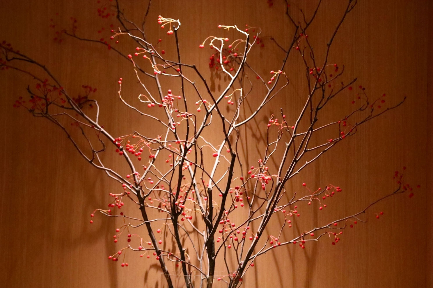 韩国传统菜有什么,韩国的传统菜肴