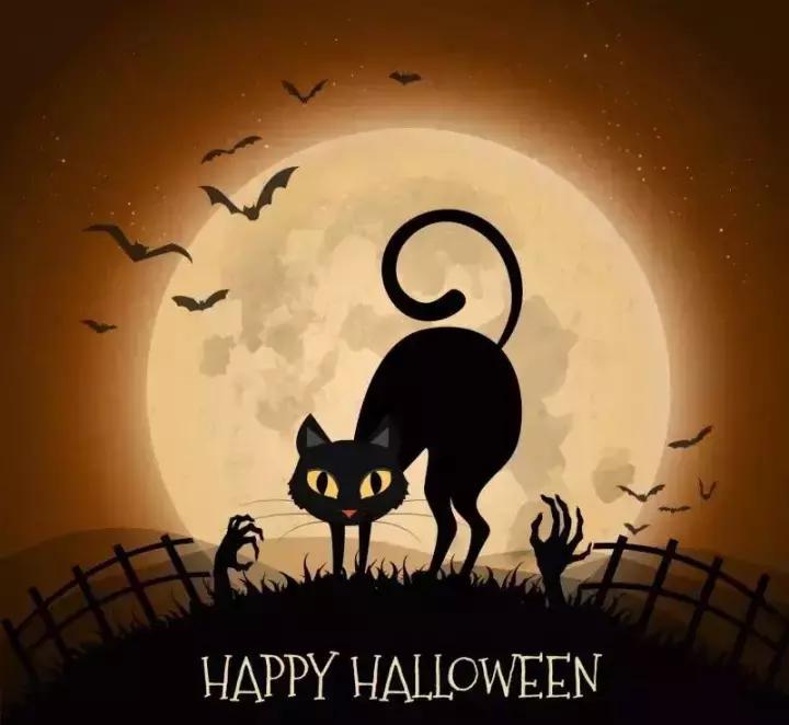 最灵的万圣节婚礼,万圣节婚礼惊喜