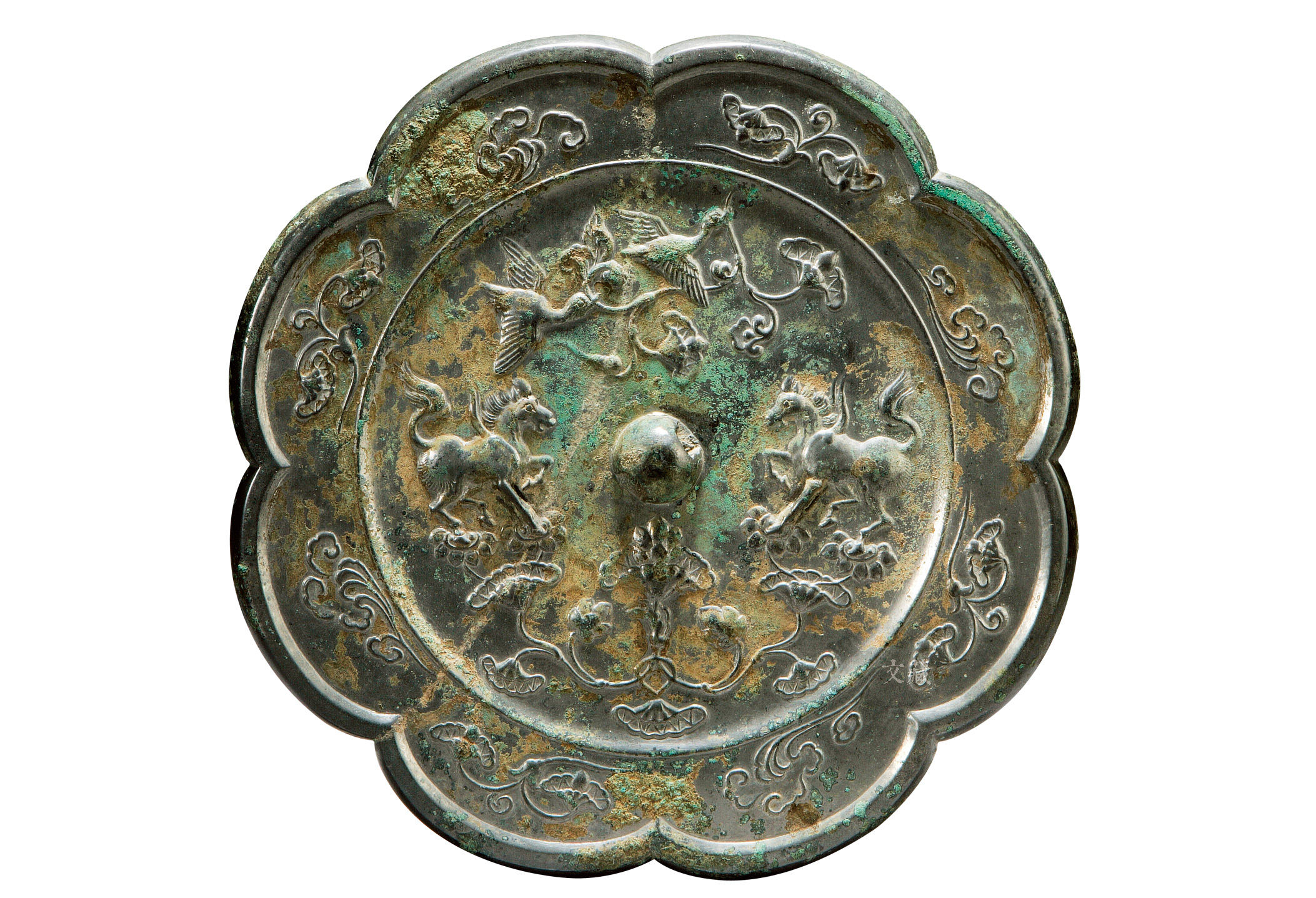 马进化,马进化了多少年