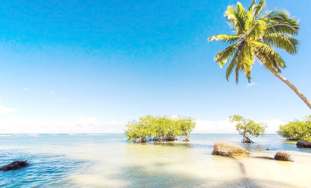 拿破仑登基用的娇兰哪款香水,娇兰拿破仑香水