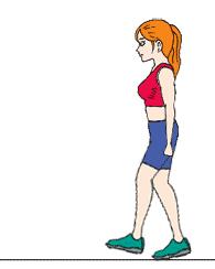 瘦子增肌去健身房需要请教练,女生增肌健身初学者训练计划