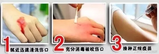 打了疫苗一定不死吗,打了疫苗就不得犬瘟吗