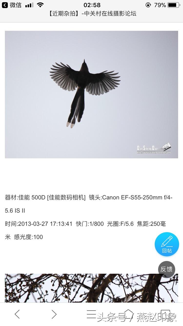 爱上摄影的苗子,爱上摄影的经历