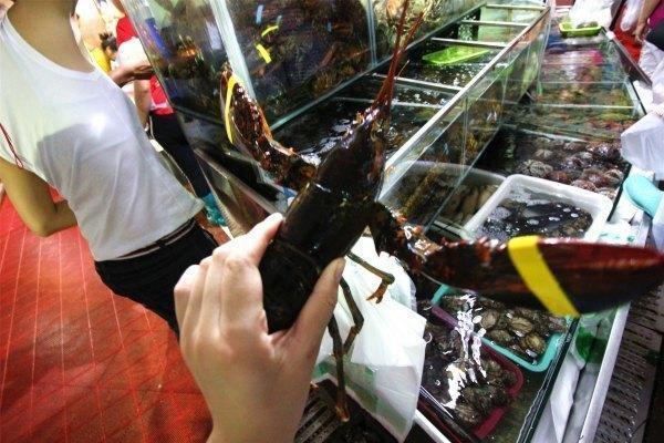 带上兜兜去旅游,带着小嘟嘟去旅游