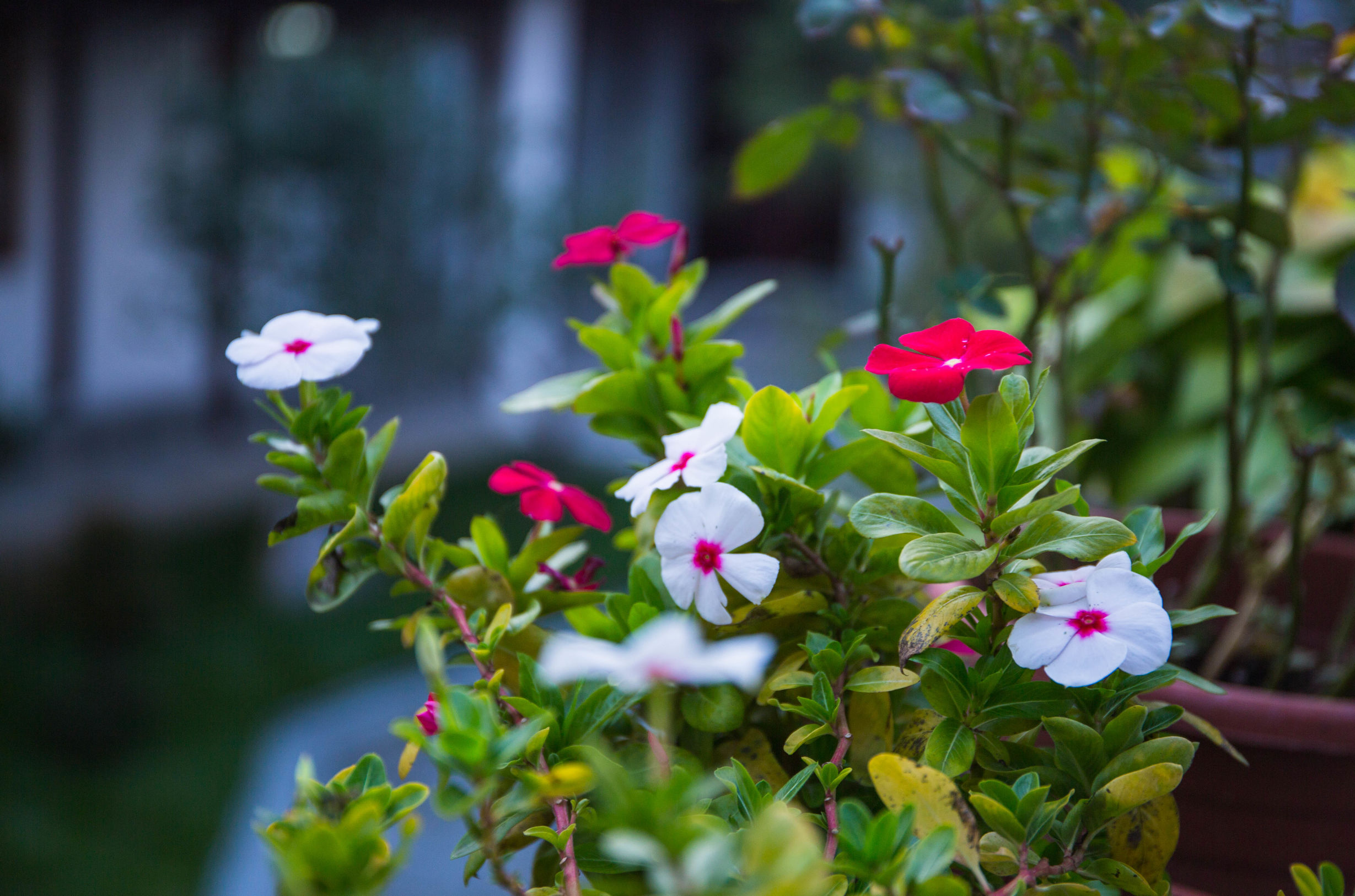 住一晚湖景民宿,住一晚民宿环境优美