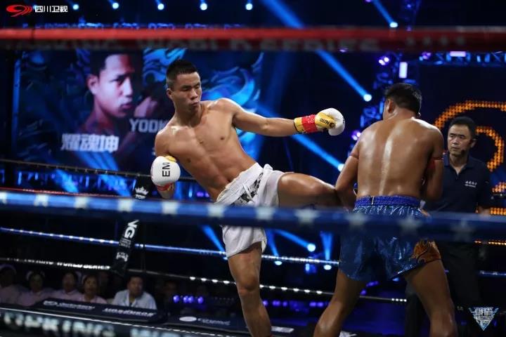 一龙对决播求,马库斯vs播求一龙