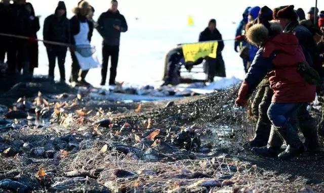 吉林的魅力有多大,吉林市的魅力