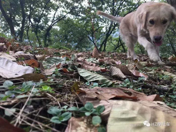 大玩具yamahaMT-07